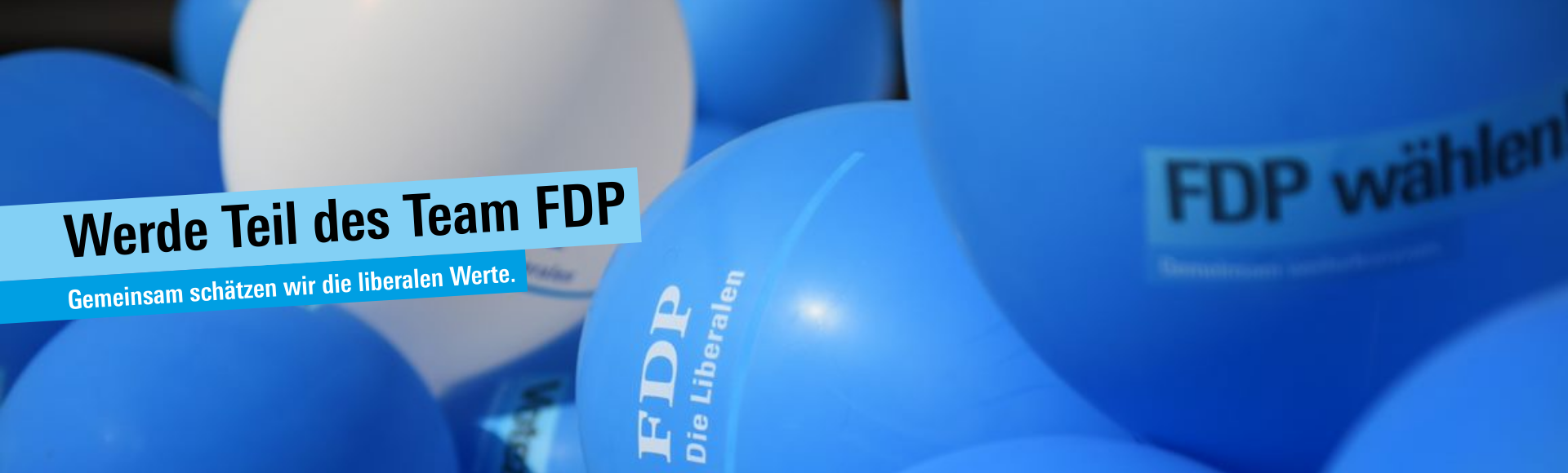 FDP - PLR Slider